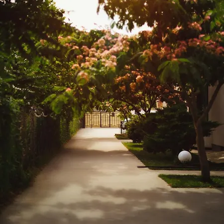 Breeze Mamaia Nord Guest house 3*