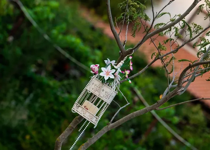 Πανσιόν Breeze Mamaia Nord Năvodari