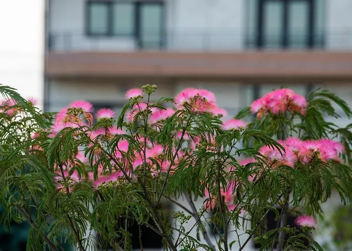 Breeze Mamaia Nord Năvodari