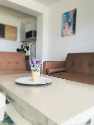 Breeze Mamaia Nord Πανσιόν Năvodari