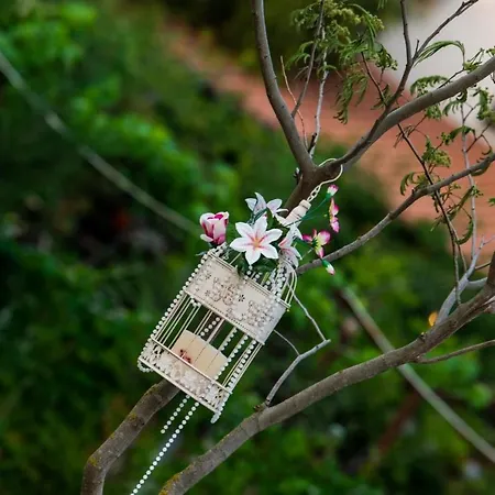 Pensión Breeze Mamaia Nord Năvodari