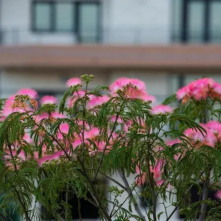 Breeze Mamaia Nord Năvodari