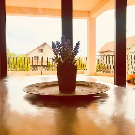 Breeze Mamaia Nord Konukevi Navodari